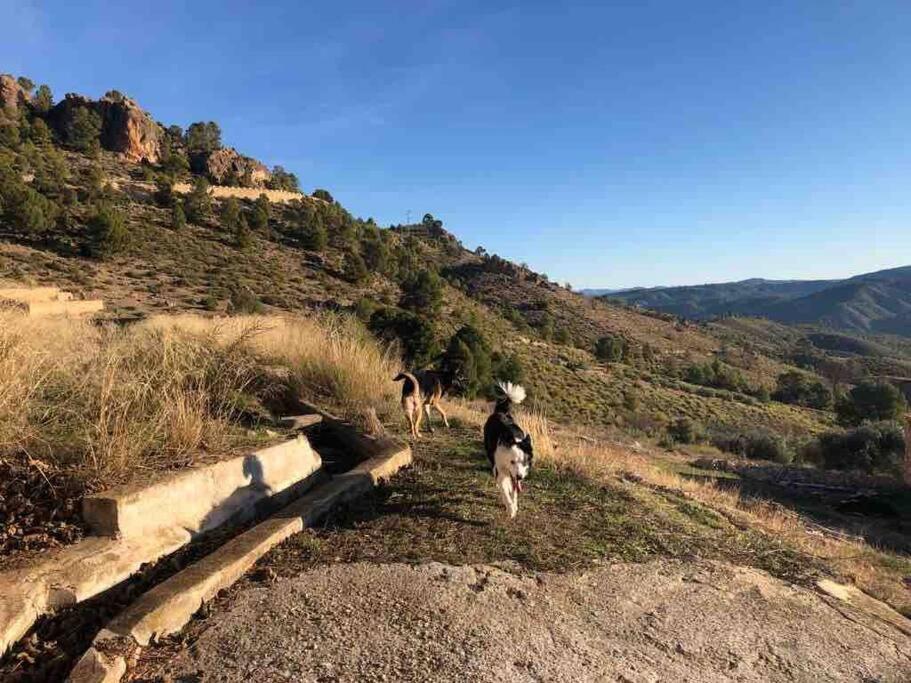 Casa Rural Con Encanto Senorio Manchego Albacete Yeste Exteriör bild